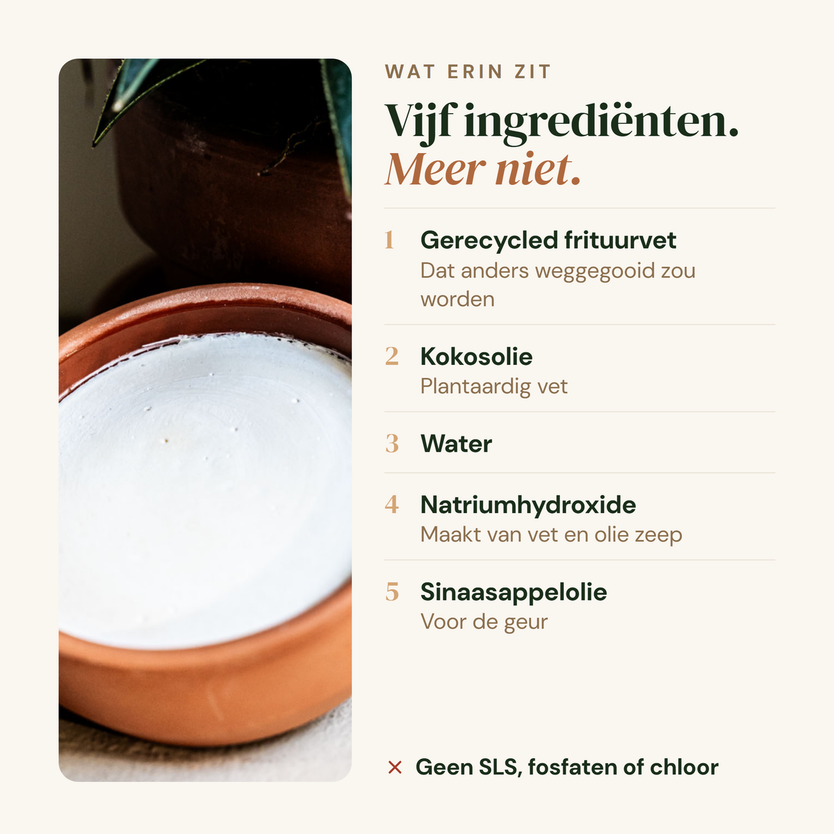 Afwasmiddel: vijf ingredienten